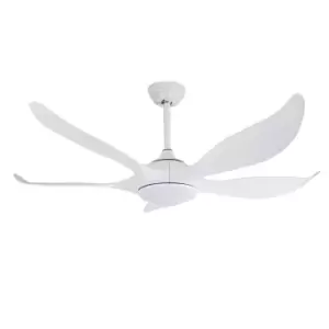 Image of Noro 5 Blade DC LED Ceiling Fan 20W CCT White