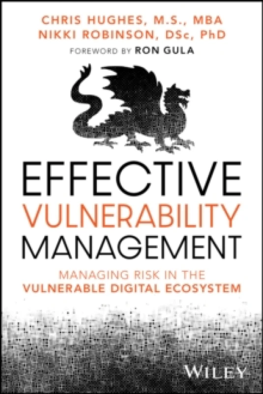 Image of Effective Vulnerability Management : Managing Risk in the Vulnerable Digital Ecosystem Paperback / softback