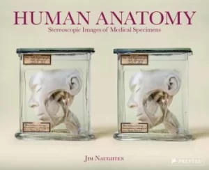 Image of Human anatomy by Jim Naughten
