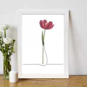 Image of BC11012134161 Multicolor Decorative Framed MDF Painting