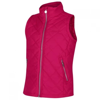 Image of Regatta Zalenka Quilted Bodywarmer - Duch(Animal)