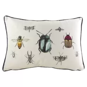Image of Eden Insects Cushion Multicolour