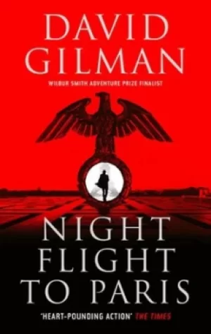 Image of Night flight to Paris by David Gilman