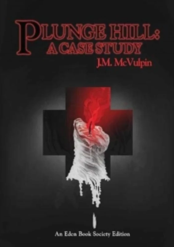 Image of Plunge Hill : A Case Study Paperback / softback