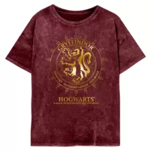 Image of Harry Potter Womens/Ladies Gryffindor Constellation T-Shirt (L) (Maroon)