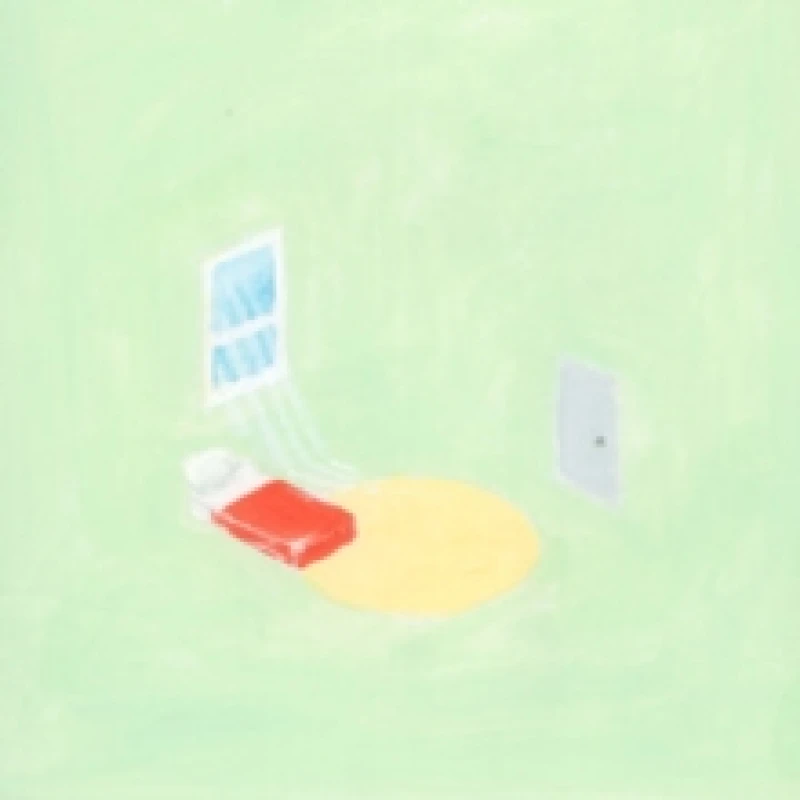 Image of The Birds Outside Sang (10 Year Anniversary Edition) Vinyl