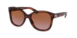 Image of Ralph Lauren Sunglasses RL8180 500739
