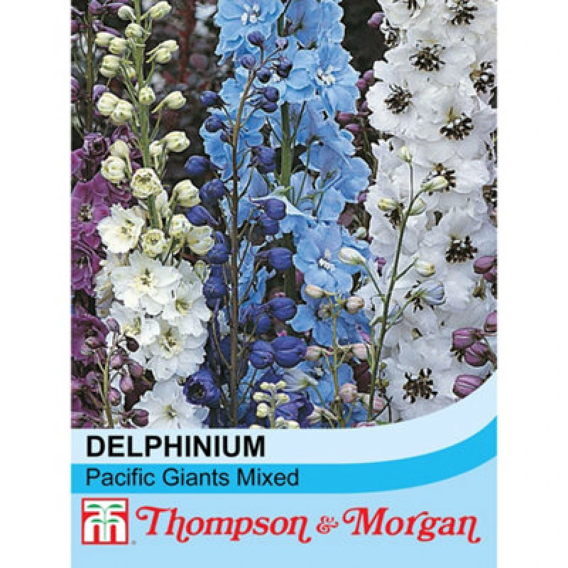 Image of Thompson & Morgan Delphinium Hybridum Pacific Giant Mixed 1 Packet (110 Seeds)