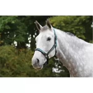Image of Weatherbeeta Leopard Headcollar - Blue