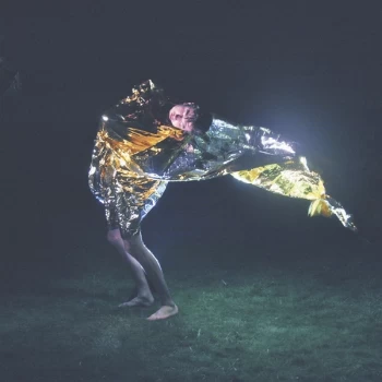 Image of Oscar And The Wolf - Entity Vinyl