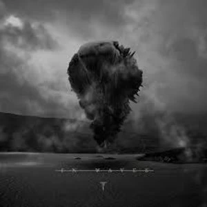 Image of Trivium - In Waves Vinyl