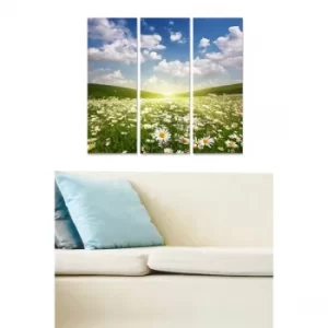 Image of MDF89336530 Multicolor Decorative MDF Painting (3 Pieces)