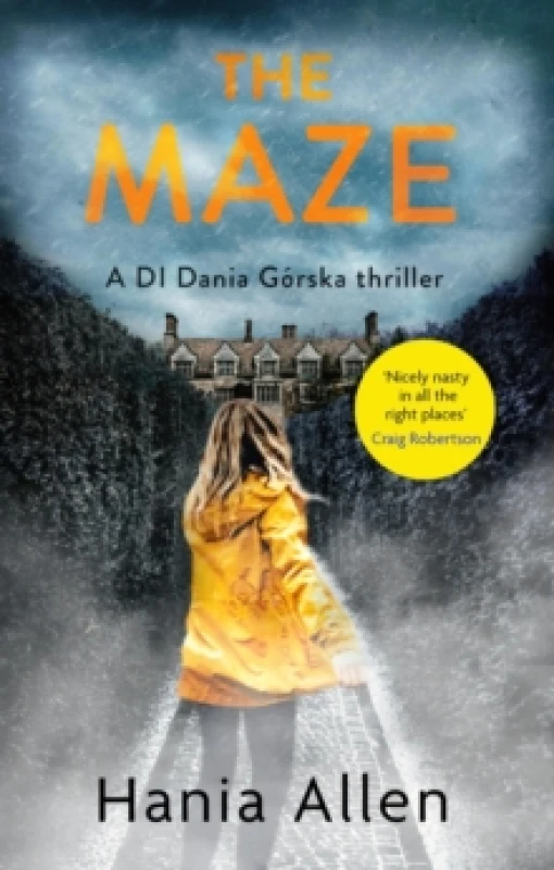 Image of The Maze Paperback / softback