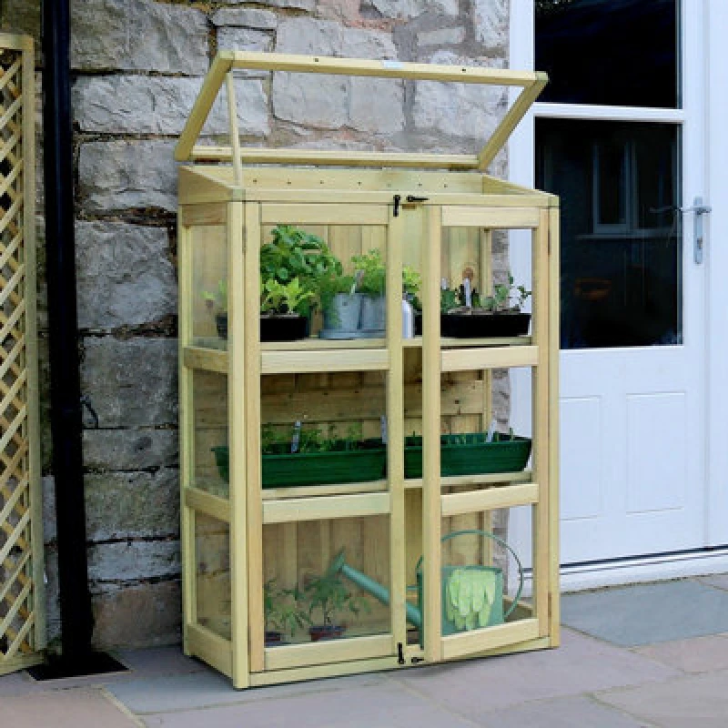 Image of Compact Botanical Greenhouse