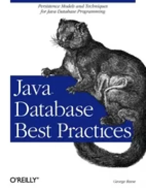 Image of java database best practices
