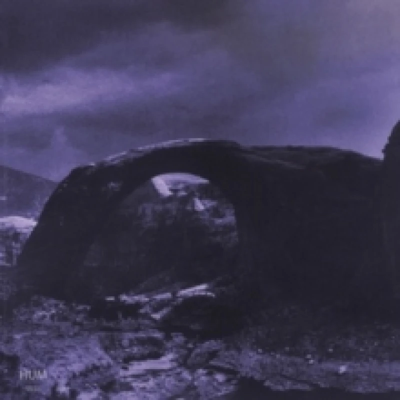 Image of Inlet Vinyl