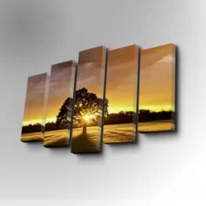 Image of 5PUC-004 Multicolor Decorative Canvas Painting (5 Pieces)