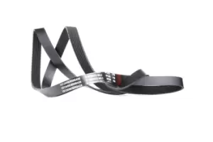 Image of RIDEX V-ribbed belt 305P0099 Serpentine belt,Auxiliary belt AUDI,MERCEDES-BENZ,OPEL,80 Limousine (8C2, B4),Cabriolet (8G7, B4),80 Avant (8C5, B4)