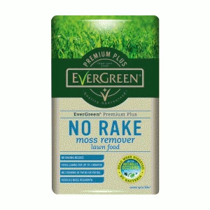 Image of EverGreen No Rake Moss Remover Lawn Seed - 5KG