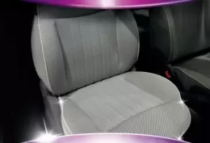 Image of Michelin Textile / Carpet Cleaner 009450