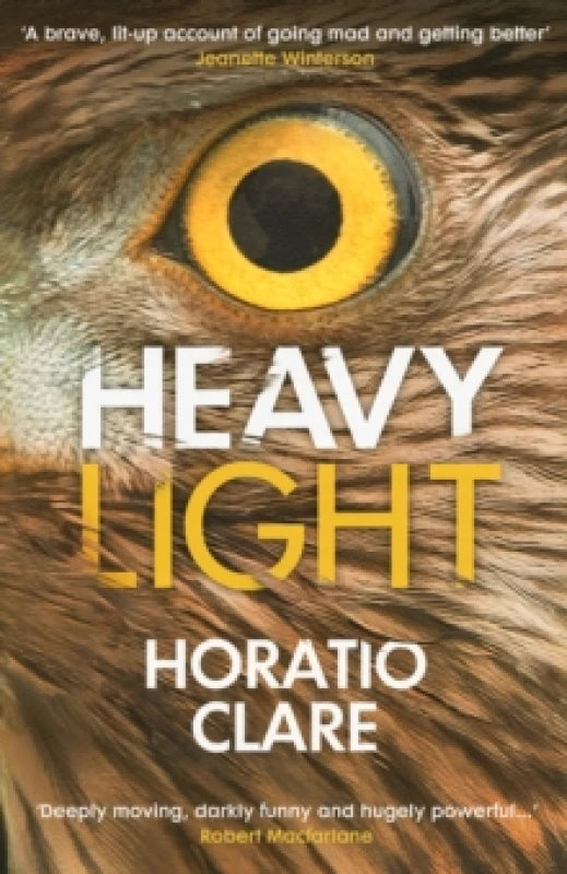 Image of Heavy Light : A Journey Through Madness, Mania and Healing Paperback / softback