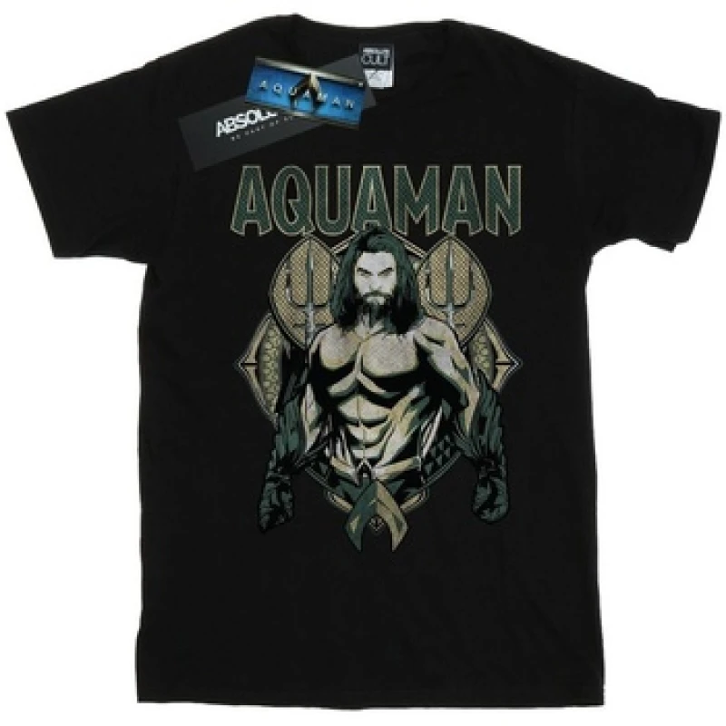 Image of DC Comics Aquaman Scales T-Shirt Black male