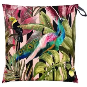 Image of Evans Lichfield Toucan And Peacock Outdoor Cushion Cover (70cm x 70cm) (Multicoloured)
