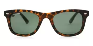 Image of Montana Eyewear Sunglasses MP41 Polarized MP41A