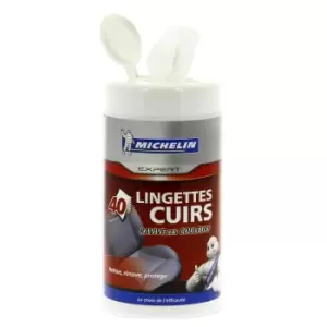 Image of Michelin Leather Cleaner 008883