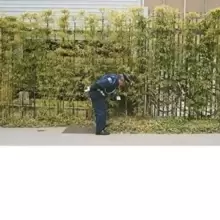 Image of Good Luck and Do Your Best