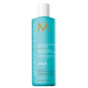 Image of Moroccanoil Moisture Repair Shampoo 250ml
