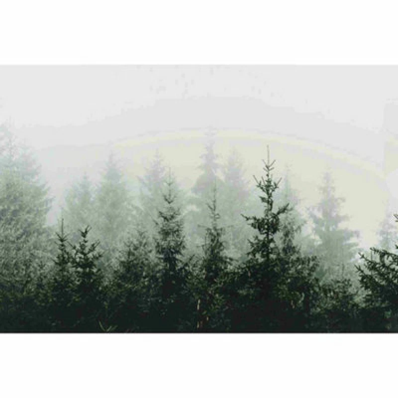 Image of AS Creation Mountain Forest Digital Mural 400cm X 270cm, Grey 419873