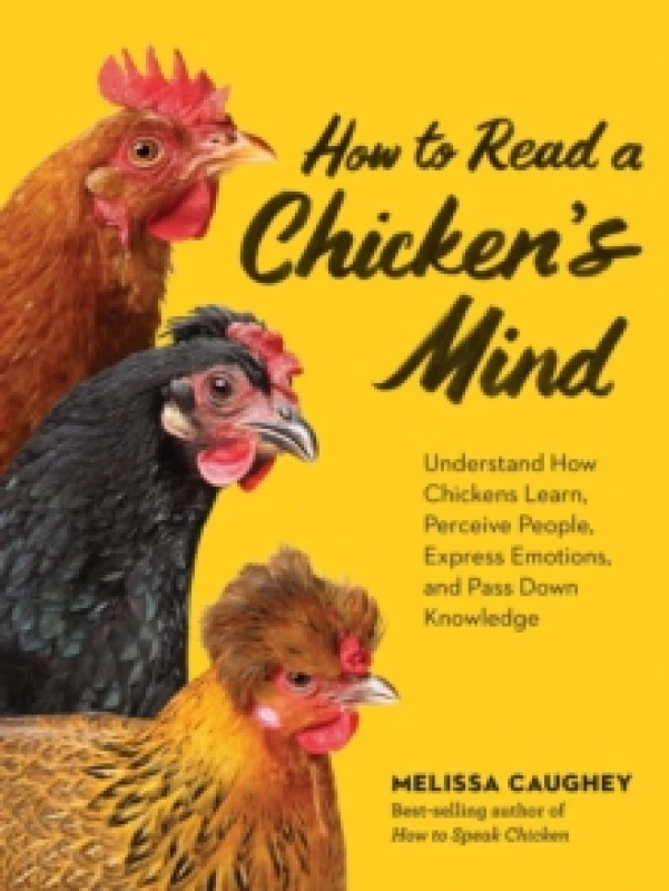 Image of How to Read a Chicken's Mind : Understand How Chickens Learn, Perceive People, Express Emotions, and Pass Down Knowledge Paperback / softback