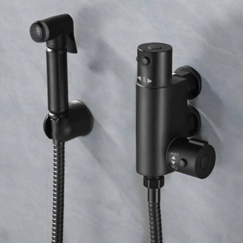 Image of Nes Home Bidet Douche & Thermostatic Bar Valve With Spray Kit Matte Black Shataff