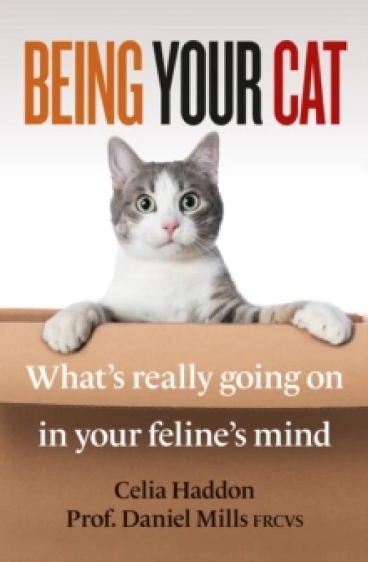 Image of Being Your Cat : What's really going on in your feline's mind Paperback / softback