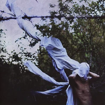 Image of Petre Inspirescu - Vin Ploile CD