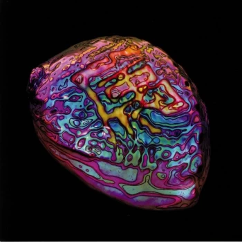 Image of Ian Chang - Belonging Vinyl