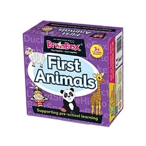 Image of BrainBox First Animals Pre School Card Game