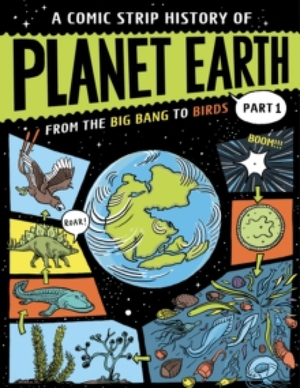 Image of A Comic Strip History of Planet Earth: Part 1 From the Big Bang to Birds Paperback / softback
