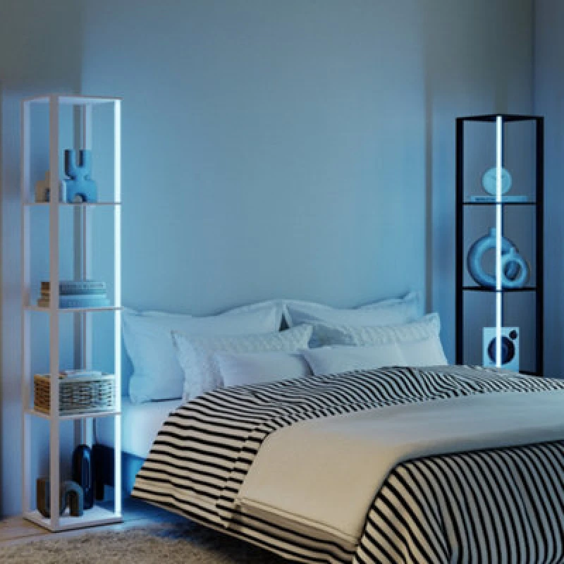 Image of HOMCOM RGB LED Floor Lamp with Shelves and Remote Control for Bedroom, Grey B31-553V70GY