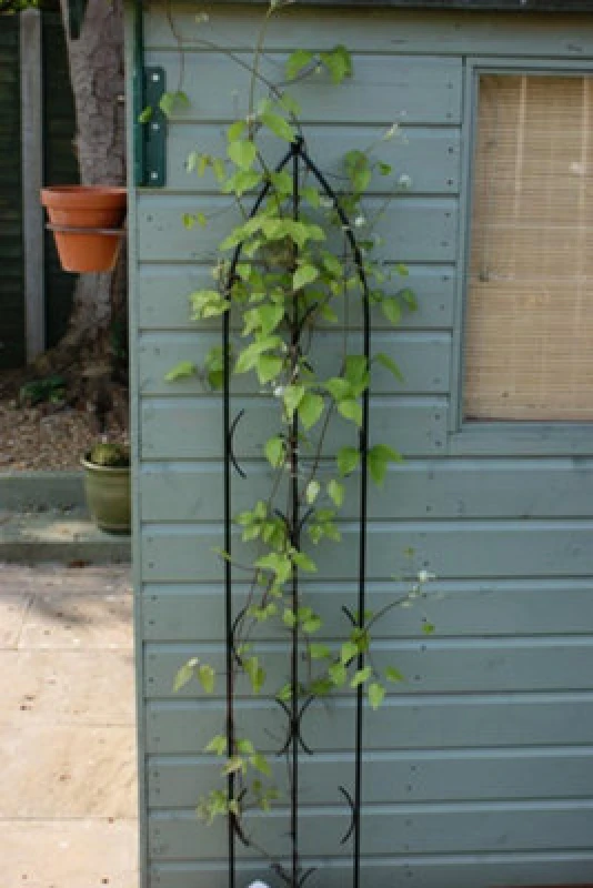 Image of Poppy Forge Single Gothic Screen - Decorative Garden Screen, Plant Support - Solid Steel - W24 X H180 Cm - Black