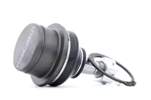 Image of RIDEX Ball joint 2462S0316 Suspension ball joint,Suspension arm ball joint NISSAN,NP300 Navara Pickup (D40),Pathfinder III (R51)