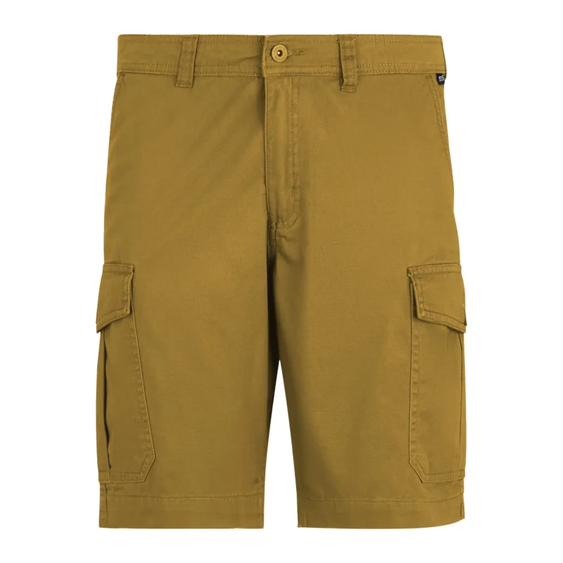 Image of Cargo shorts Regatta Ruwan Casual Marron Male 40