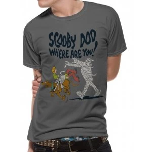 Image of Scooby Doo - Unisex Medium Where Are You T-Shirt (Grey)