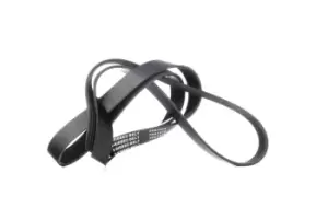 Image of RIDEX V-ribbed belt MERCEDES-BENZ,OPEL,RENAULT 305P0327 60561247,60618584,60652358 4763863,4763863AB,4763863AB,60605423,60618584,60810651,60812001