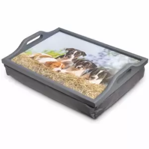 Image of Aidapt Wooden Lap Tray with Cushion Puppies
