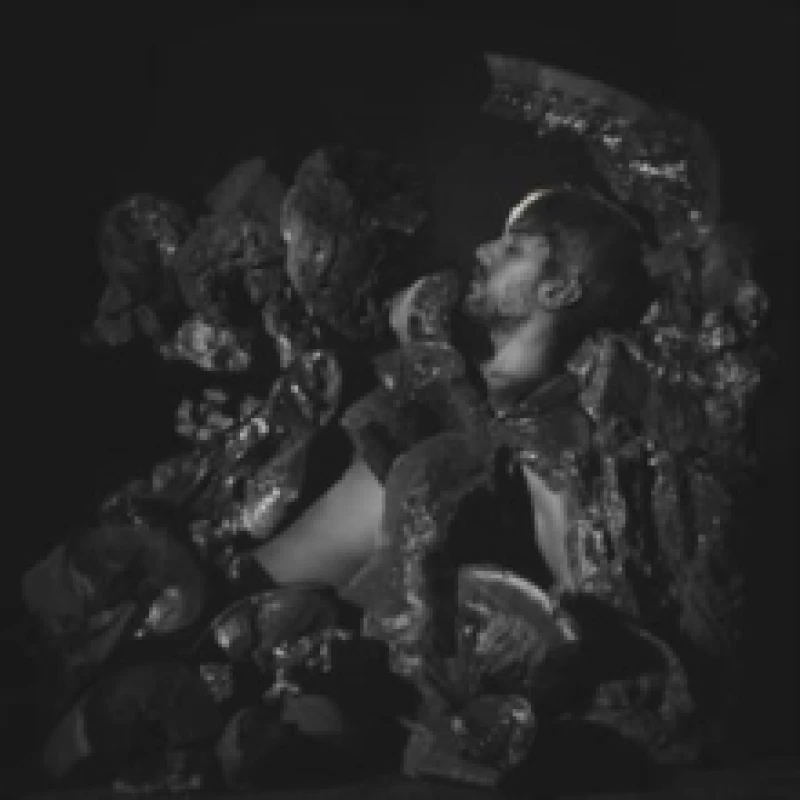 Image of Fulgor Vinyl