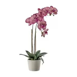 Image of Gallery Interiors Orchid with Ceramic Pot in Pink
