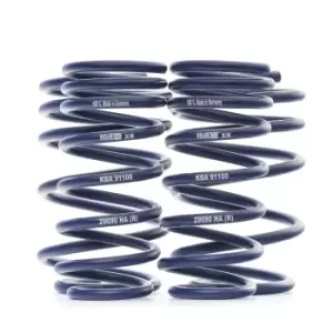 Image of H&R Suspension Kit, coil springs Performance Lowering Springs Rear Axle 29090-1 MINI,Schragheck (R56),Schragheck (R50, R53),Cabrio (R57)