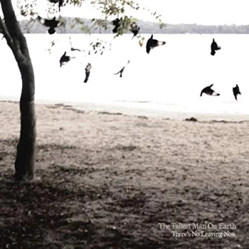Image of The Tallest Man on Earth - There's No Leaving Now CD